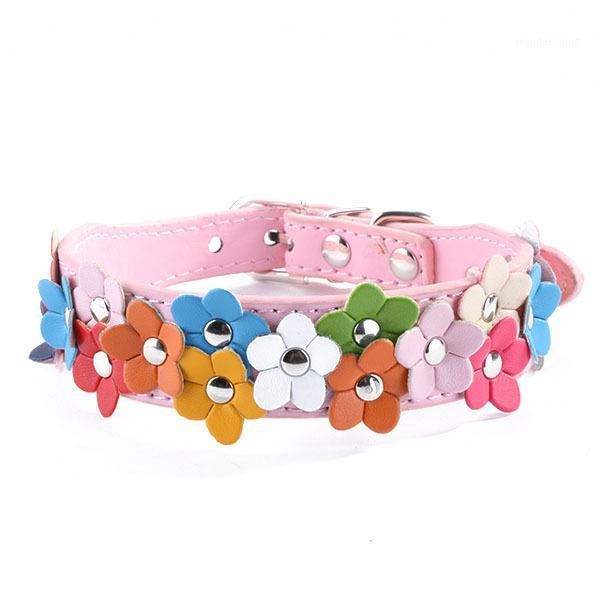 1pcs flower pet neck leads 37/42 buckle pet dog cm dogs cat strap pu puppy collar accessories leather animal1
1pcs flower pet neck leads 37/42 buckle pet dog cm dogs cat strap pu puppy collar accessories leather animal1