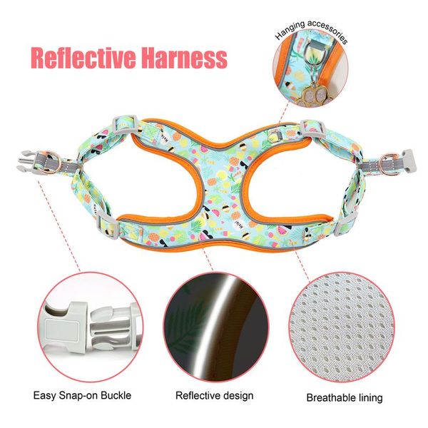 new fashion nylon dog harness leash set reflective fruit printed dog vest leash for medium large dogs french bulldog sqcstp
new fashion nylon dog harness leash set reflective fruit printed dog vest leash for medium large dogs french bulldog sqcstp