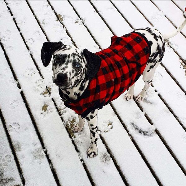 dog clothing autumn and winter clothing than bear labrador medium and large dog pet lattice warm two legged clothing 
dog clothing autumn and winter clothing than bear labrador medium and large dog pet lattice warm two legged clothing