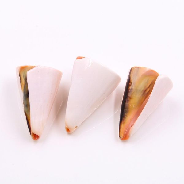 5pcs mediterranean nautical decor color trumpet conch seashells beach wedding decorations jewelry diy shell beach home decor h wmtoxx
5pcs mediterranean nautical decor color trumpet conch seashells beach wedding decorations jewelry diy shell beach home decor h wmtoxx