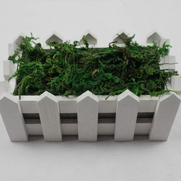 40g/bag artificial flower dried reindeer moss for garden home decoration diy craft flower bonsai basket plant wedding tu bbyyui
40g/bag artificial flower dried reindeer moss for garden home decoration diy craft flower bonsai basket plant wedding tu bbyyui