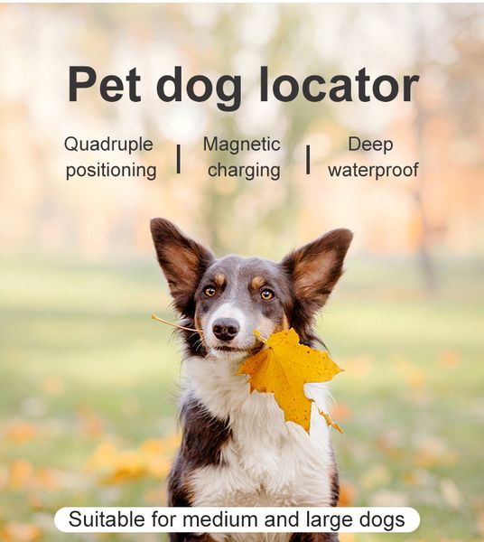 pet locator собака воротник животных мини gps tracker противоугонный анти-утерянный действительность отслеживания в режиме реального времени
pet locator собака воротник животных мини gps tracker противоугонный анти-утерянный действительность отслеживания в режиме реального времени