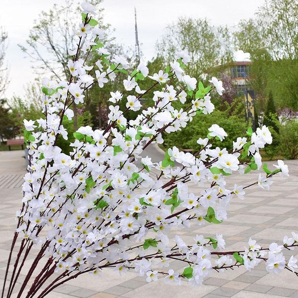 decorative flowers & wreaths 1pc 65cm artificial cherry spring plum peach blossom branch silk flower home wedding plastic bouquet
decorative flowers & wreaths 1pc 65cm artificial cherry spring plum peach blossom branch silk flower home wedding plastic bouquet