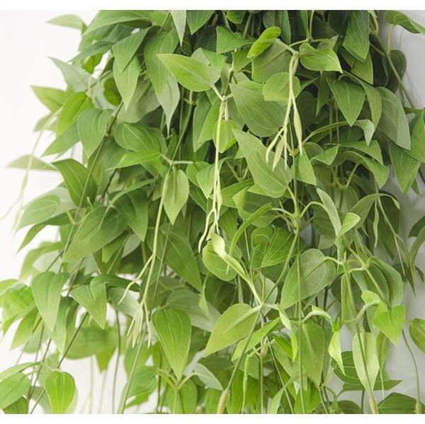 artificial plant decoration vines wall hanging leaves faux foliage string fake plants balcony garden home decor ivy autumn f wmtjpx
artificial plant decoration vines wall hanging leaves faux foliage string fake plants balcony garden home decor ivy autumn f wmtjpx