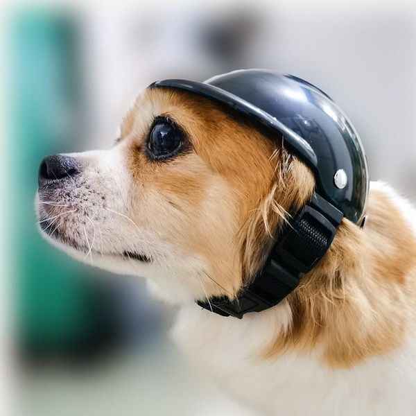 dog apparel pet helmet fashion flying hat cool accessories locomotive safety cat toys
dog apparel pet helmet fashion flying hat cool accessories locomotive safety cat toys