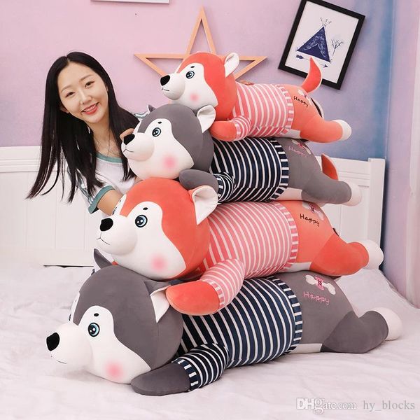 60cm husky pillow soft lovely dinosaur plush doll stuffed toy kids animals plush cute girls toy gift
60cm husky pillow soft lovely dinosaur plush doll stuffed toy kids animals plush cute girls toy gift