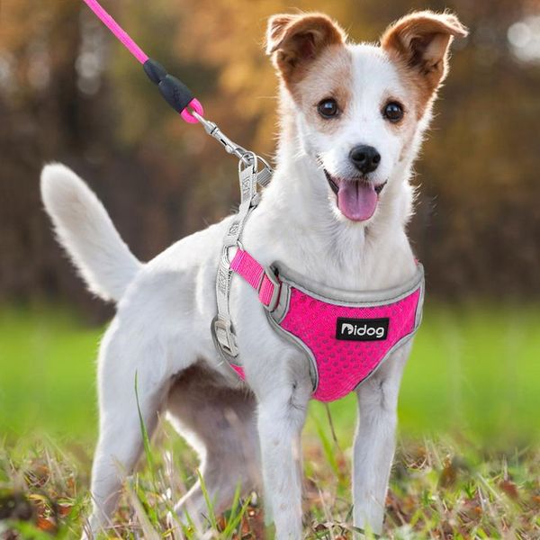 breathable nylon mesh dog puppy harness no-pull reflective pet harness vest dog leash for small large dog pitbull french sqcapw
breathable nylon mesh dog puppy harness no-pull reflective pet harness vest dog leash for small large dog pitbull french sqcapw