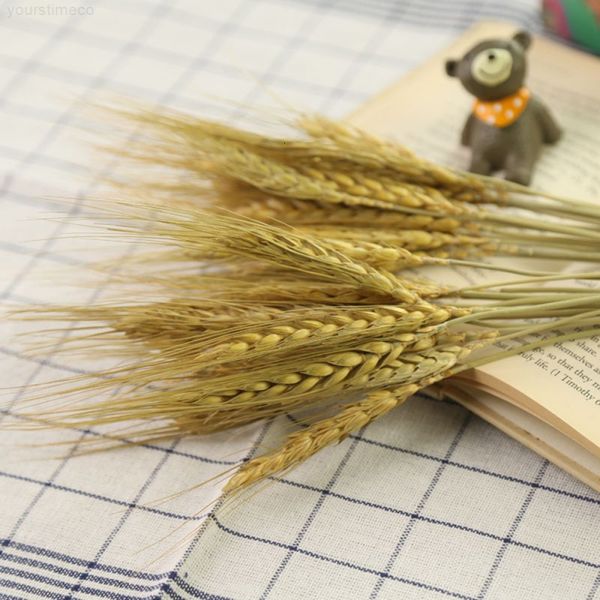 flowe artificial wheat rice plastic flower branches home shop garden wedding party decor pgraphy props accessories
flowe artificial wheat rice plastic flower branches home shop garden wedding party decor pgraphy props accessories