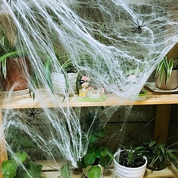 factoryi8zgdecoration for halloween web super indoor/outdoor stretch spider 10.58 oz 1000 sqft with 210 pcs fake spiders
factoryi8zgdecoration for halloween web super indoor/outdoor stretch spider 10.58 oz 1000 sqft with 210 pcs fake spiders