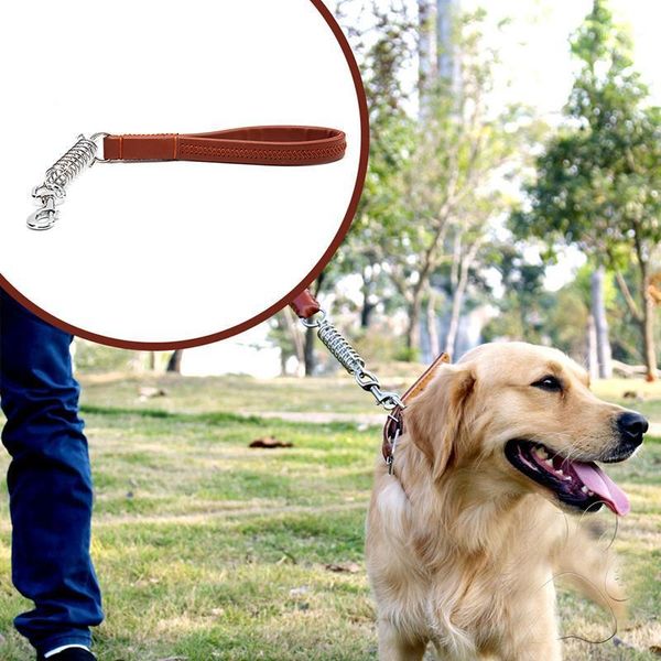 dannykarl leather anti-bite pet dog chain traction rope large dog cushion belt collar leash spring bundle absorption1
dannykarl leather anti-bite pet dog chain traction rope large dog cushion belt collar leash spring bundle absorption1
