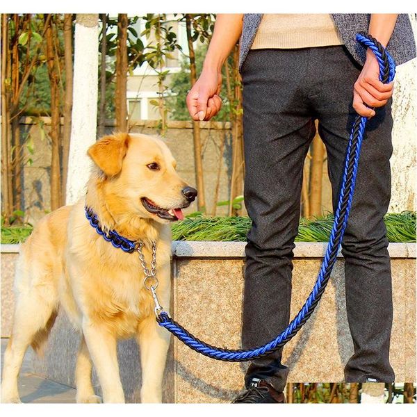 upgraded two-color collar pet dog chain stereotyped rope dog chain medium and large dog leash nspew
upgraded two-color collar pet dog chain stereotyped rope dog chain medium and large dog leash nspew