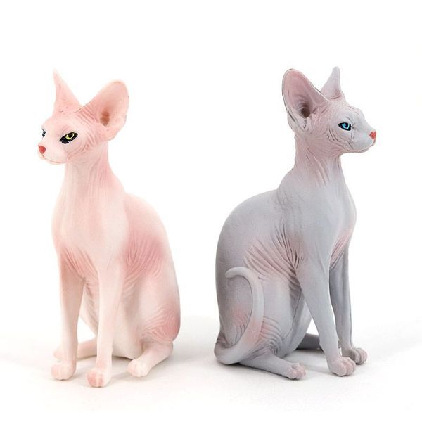 creative pvc simulation hairless cat sphinx cat animals action figure toys animal model figure toys for kids animal model doll f wmtvrr
creative pvc simulation hairless cat sphinx cat animals action figure toys animal model figure toys for kids animal model doll f wmtvrr
