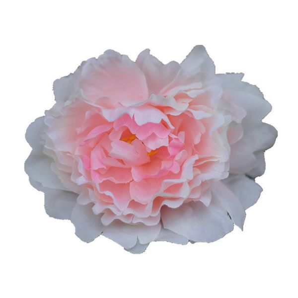 factory artificial flowers silk peony heads wedding party decoration supplies simulation fake flower for diy handmake
factory artificial flowers silk peony heads wedding party decoration supplies simulation fake flower for diy handmake