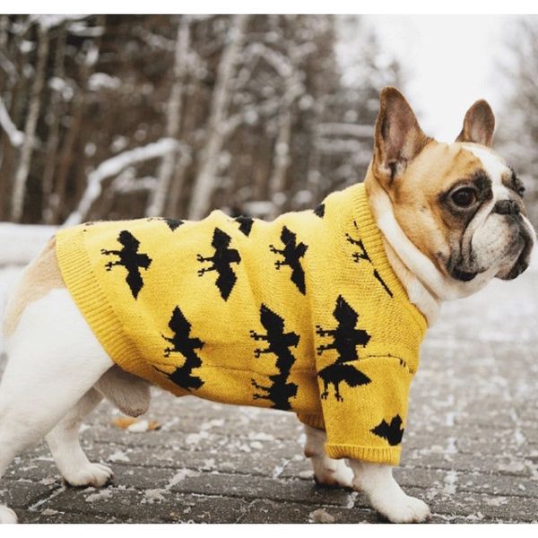 pet fashion autumn and winter keep warm core yarn hedging cute law bucket tobago pet sweater dog dog clothes bbyeed lg2010
pet fashion autumn and winter keep warm core yarn hedging cute law bucket tobago pet sweater dog dog clothes bbyeed lg2010