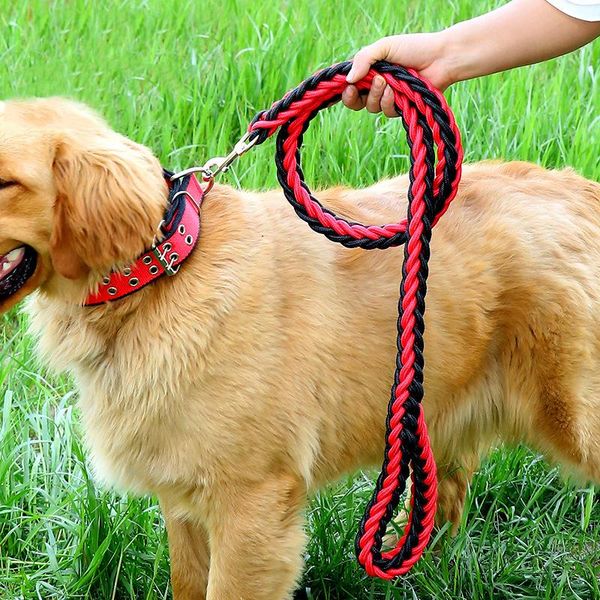 og collar поводок наборы для малого большой собаки привязи собак поводок веревка животные lead ошейник harness нейлона запуск поводки
og collar поводок наборы для малого большой собаки привязи собак поводок веревка животные lead ошейник harness нейлона запуск поводки