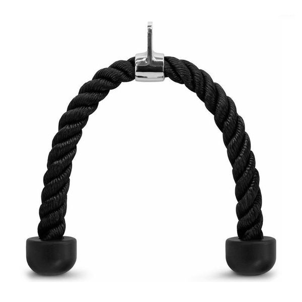 triceps rope tricep rope abdominal crunches cable pull down laterals biceps muscle training fitness body building gym pull1
triceps rope tricep rope abdominal crunches cable pull down laterals biceps muscle training fitness body building gym pull1