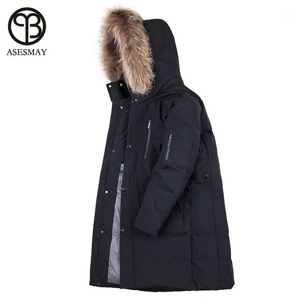 asesmay 2018 long winter jacket men white duck down parka thick men's winter coat hooded fur outwear warm jackets1, Black
asesmay 2018 long winter jacket men white duck down parka thick men's winter coat hooded fur outwear warm jackets1, Black