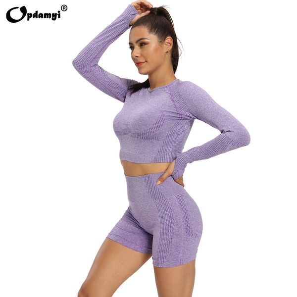 vital seamless yoga set women long sleeve summer blouses gym sport bra high waist tight leggings fitness suit shorts sets c0122, Gray
vital seamless yoga set women long sleeve summer blouses gym sport bra high waist tight leggings fitness suit shorts sets c0122, Gray