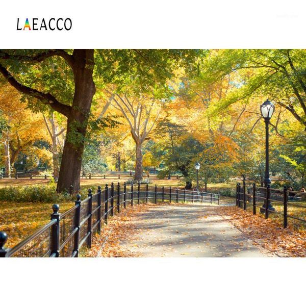 background material laeacco po backdrops fallen leaves park way corner tree child natural autumn scenic pographic backgrounds for studio1
background material laeacco po backdrops fallen leaves park way corner tree child natural autumn scenic pographic backgrounds for studio1