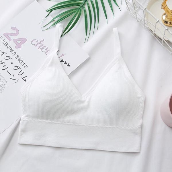 women crop tube female streetwear sleeveless camis seamless sports lingerie tee bra crop bandeau tank h bbyyzu
women crop tube female streetwear sleeveless camis seamless sports lingerie tee bra crop bandeau tank h bbyyzu