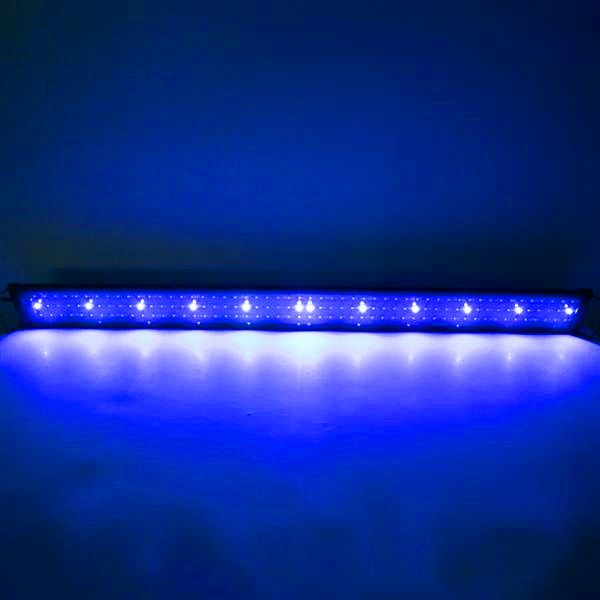 new design 24w 156led full spectrum water lamp 47.2inch black us standard aquarium lights (suitable for 47.2-55.1inch long aquarium)
new design 24w 156led full spectrum water lamp 47.2inch black us standard aquarium lights (suitable for 47.2-55.1inch long aquarium)