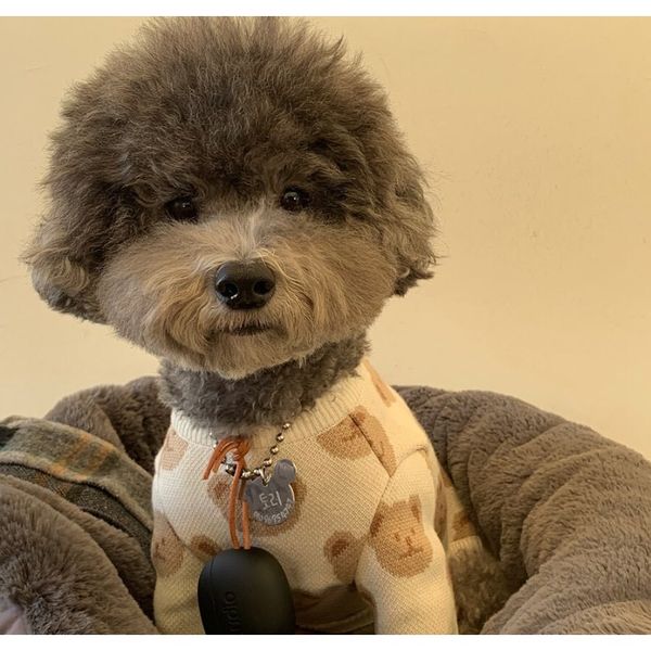 bear autumn and winter keep warm core yarn hedging cute pet sweater dog dog clothes bbyrdf lg2010
bear autumn and winter keep warm core yarn hedging cute pet sweater dog dog clothes bbyrdf lg2010