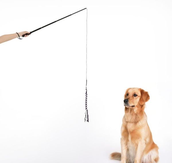 extendable dog puppy teaser pole wand outdoor interactive pet dog flirt pole training exercise rope toy jllukjo home003
extendable dog puppy teaser pole wand outdoor interactive pet dog flirt pole training exercise rope toy jllukjo home003
