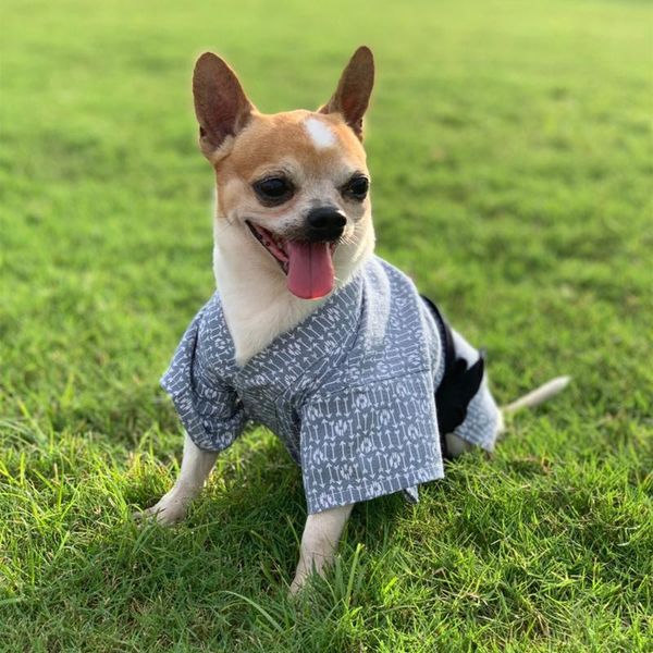 cozy dog kimono, japanese style dog yukata, halloween clothes, cat kimono, winter clothes, sushi kimono
cozy dog kimono, japanese style dog yukata, halloween clothes, cat kimono, winter clothes, sushi kimono