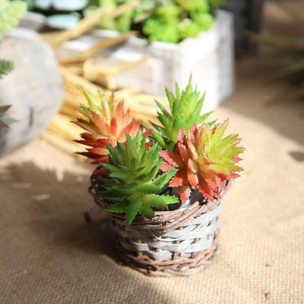 decorative flowers & wreaths simulation of meaty plants with prickly small aloe vera green plant balcony decoration shooting props decorated
decorative flowers & wreaths simulation of meaty plants with prickly small aloe vera green plant balcony decoration shooting props decorated
