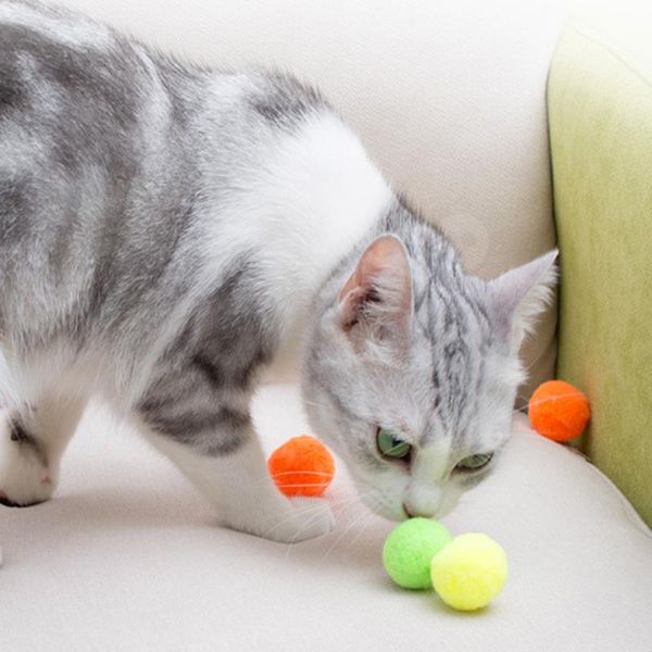 интерактивные игрушки для игрушек котенок котенок кошек царапин игрушки кошачьи шариковые игрушки для домашних животных кошек собаки кошка а
интерактивные игрушки для игрушек котенок котенок кошек царапин игрушки кошачьи шариковые игрушки для домашних животных кошек собаки кошка а