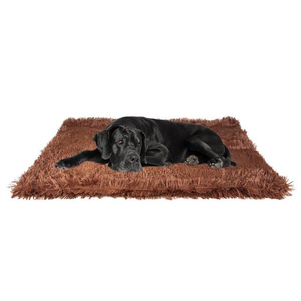 colors pet dog blanket cat bed mat long plush warm double layer fluffy deep sleeping cover for cats dogs sleeping mattress
colors pet dog blanket cat bed mat long plush warm double layer fluffy deep sleeping cover for cats dogs sleeping mattress