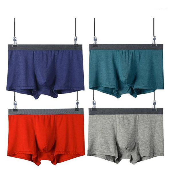 men boxer underwear mens boxer shorts panties modal plus size man homme underpants calzoncillos shorts solid breathable cuecas1, Black;white
men boxer underwear mens boxer shorts panties modal plus size man homme underpants calzoncillos shorts solid breathable cuecas1, Black;white