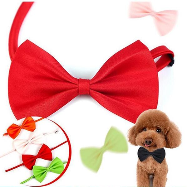 supplies adjustable dog neck puppy bright pure bows pet accessory necklace adorable grooming tie necks dhd123
supplies adjustable dog neck puppy bright pure bows pet accessory necklace adorable grooming tie necks dhd123