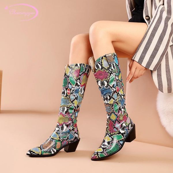 nightclub style pointed toe knee-high boots serpentine plaid color matching zipper high-heeled chunky riding boots women's shoes1, Black
nightclub style pointed toe knee-high boots serpentine plaid color matching zipper high-heeled chunky riding boots women's shoes1, Black