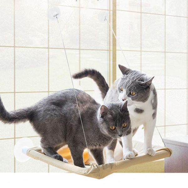 cat beds & furniture cat1 
cat beds & furniture cat1