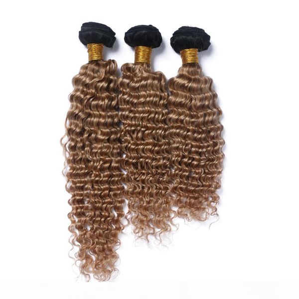brazilian deep curly virgin hair 3 bundles deep wave brazilian human hair extensions ombre brown human hair weave two tone 1b 27, Black;brown
brazilian deep curly virgin hair 3 bundles deep wave brazilian human hair extensions ombre brown human hair weave two tone 1b 27, Black;brown