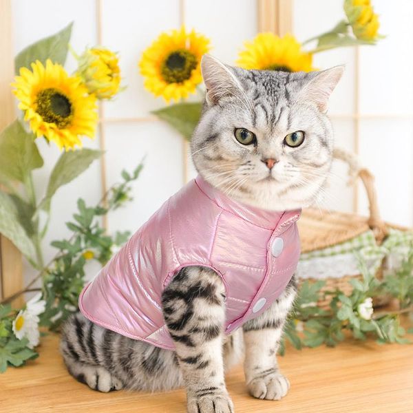 winter waterproof dog clothes cute small puppy cat clothes jacket pet clothing soft puppy kitten pet coats chihuahu bbybpn
winter waterproof dog clothes cute small puppy cat clothes jacket pet clothing soft puppy kitten pet coats chihuahu bbybpn