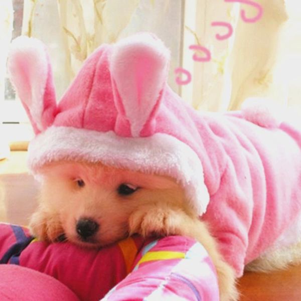 dog apparel christmas easter pet costume clothes hooded coat clothing for dogs fleece cat puppy warm dressing up outfit 30
dog apparel christmas easter pet costume clothes hooded coat clothing for dogs fleece cat puppy warm dressing up outfit 30