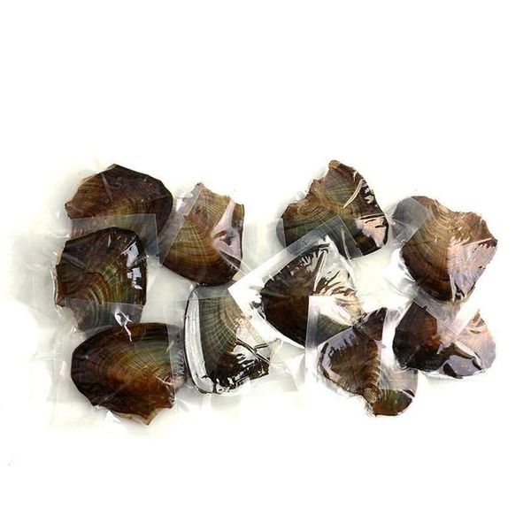 oval oyster pearl 6-7mm mix 15 color fresh water natural pearl gift diy loose decorations vacuum packaging wholesa jllnac home003, Black
oval oyster pearl 6-7mm mix 15 color fresh water natural pearl gift diy loose decorations vacuum packaging wholesa jllnac home003, Black