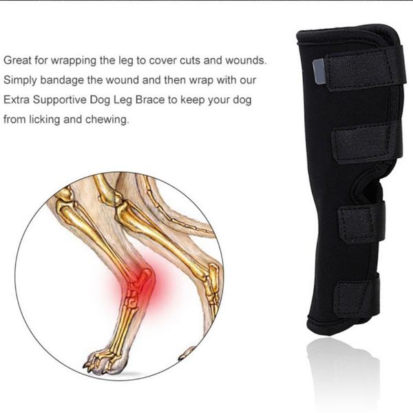 dog collars & leashes recovery sleeve pet wounds extra supportive canine rear leg hock joint wrap protects bandage puppy protect
dog collars & leashes recovery sleeve pet wounds extra supportive canine rear leg hock joint wrap protects bandage puppy protect