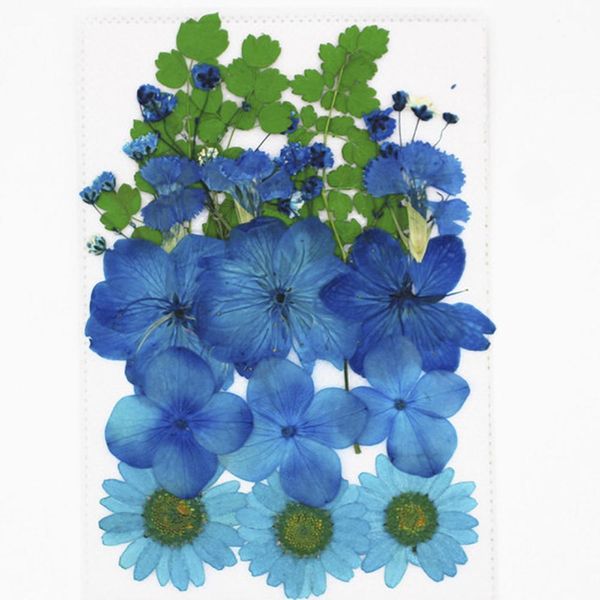 1bag dried flowers uv resin decorative natural floral flower stickers 3d beauty nail art decals epoxy mold diy filling jewelry h wmtqly
1bag dried flowers uv resin decorative natural floral flower stickers 3d beauty nail art decals epoxy mold diy filling jewelry h wmtqly