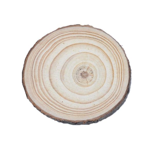 6 15cm thick 1 pack natural pine round unfinished wood slices circles with tree bark log discs diy crafts wedding party painting bbyups
6 15cm thick 1 pack natural pine round unfinished wood slices circles with tree bark log discs diy crafts wedding party painting bbyups