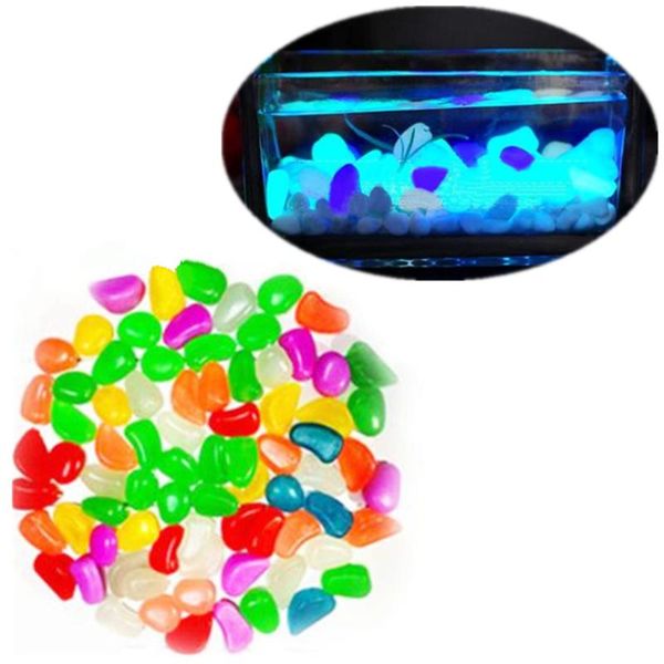 luminous stones fish tank aquarium decor 50 pcs glow in the dark stones pebbles rock for fish tank aquarium wholesale 40d27
luminous stones fish tank aquarium decor 50 pcs glow in the dark stones pebbles rock for fish tank aquarium wholesale 40d27