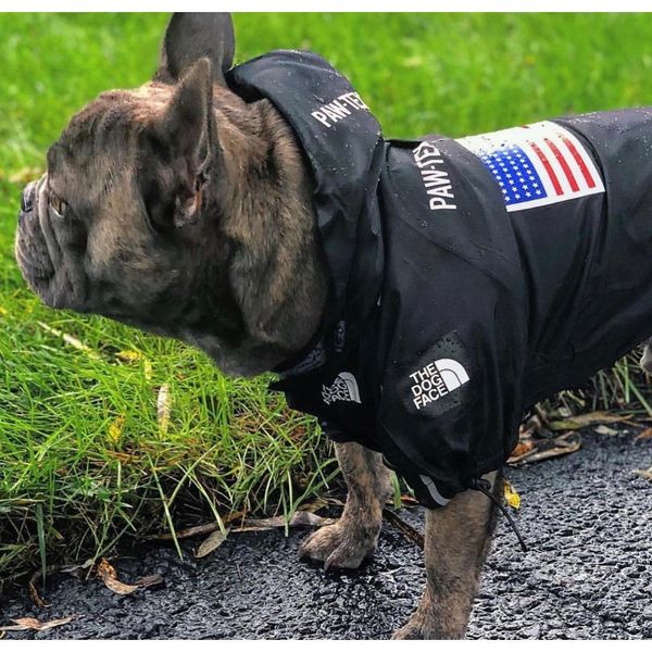 usa national flag fashion windproof rainproof dog dog large dog raincoats pet jackets wmtrak xhhair
usa national flag fashion windproof rainproof dog dog large dog raincoats pet jackets wmtrak xhhair