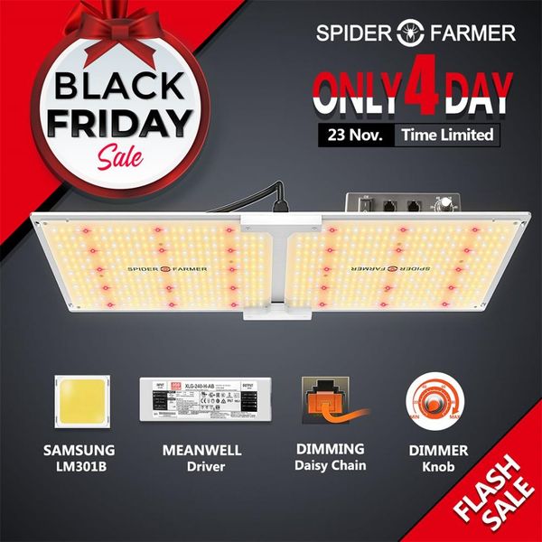паук agricoltore sf 2000 принципиальная coltiva le luci spettro celliouso samsung lm301b e meanwell dimmerabile quantum bordo fampa
паук agricoltore sf 2000 принципиальная coltiva le luci spettro celliouso samsung lm301b e meanwell dimmerabile quantum bordo fampa
