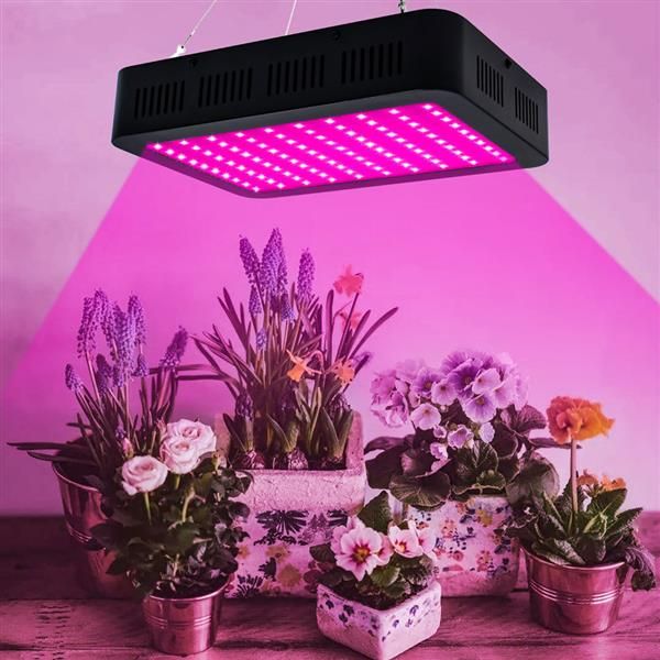 2000w 200*10w full spectrum 3030 lamp bead plant lamp single control grade material grow lights black
2000w 200*10w full spectrum 3030 lamp bead plant lamp single control grade material grow lights black