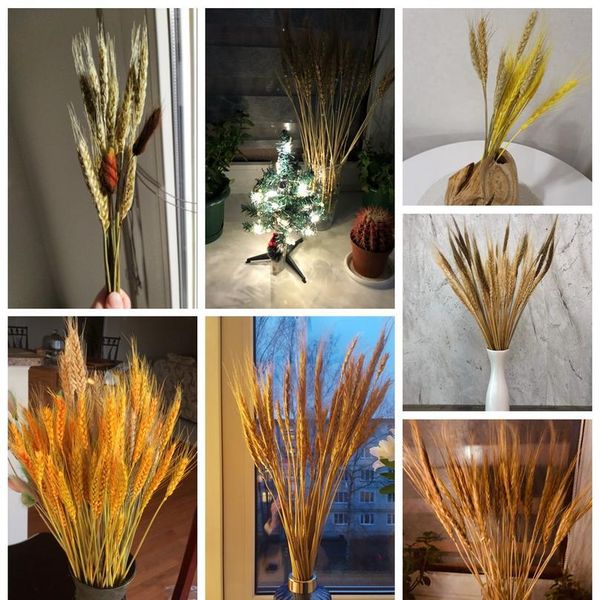 50pcs/lot natural dried flower wheat ears bouquet for wedding party decoration diy craft home decor scrapbook wheat bran jllxyw
50pcs/lot natural dried flower wheat ears bouquet for wedding party decoration diy craft home decor scrapbook wheat bran jllxyw