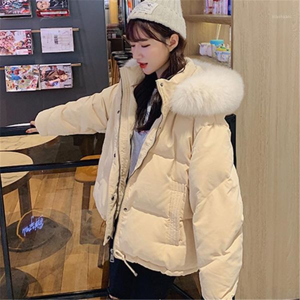 new 2019 autumn winter women down jacket coat warm pockets puffer jacket quilted hooded zipper pink ladies d6201, Black
new 2019 autumn winter women down jacket coat warm pockets puffer jacket quilted hooded zipper pink ladies d6201, Black