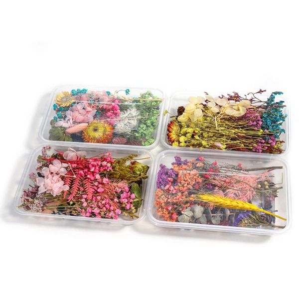 1box real pressed высушенные цветы для искусства ремесло смола подвеска ювелирные изделия diy
1box real pressed высушенные цветы для искусства ремесло смола подвеска ювелирные изделия diy