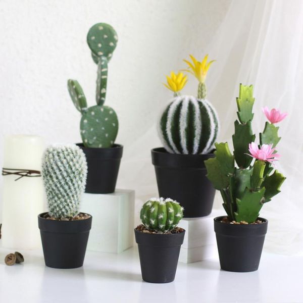 artificial succulent cactus ball black plastic artificial plant small bonsai set flower crafts ornament1
artificial succulent cactus ball black plastic artificial plant small bonsai set flower crafts ornament1